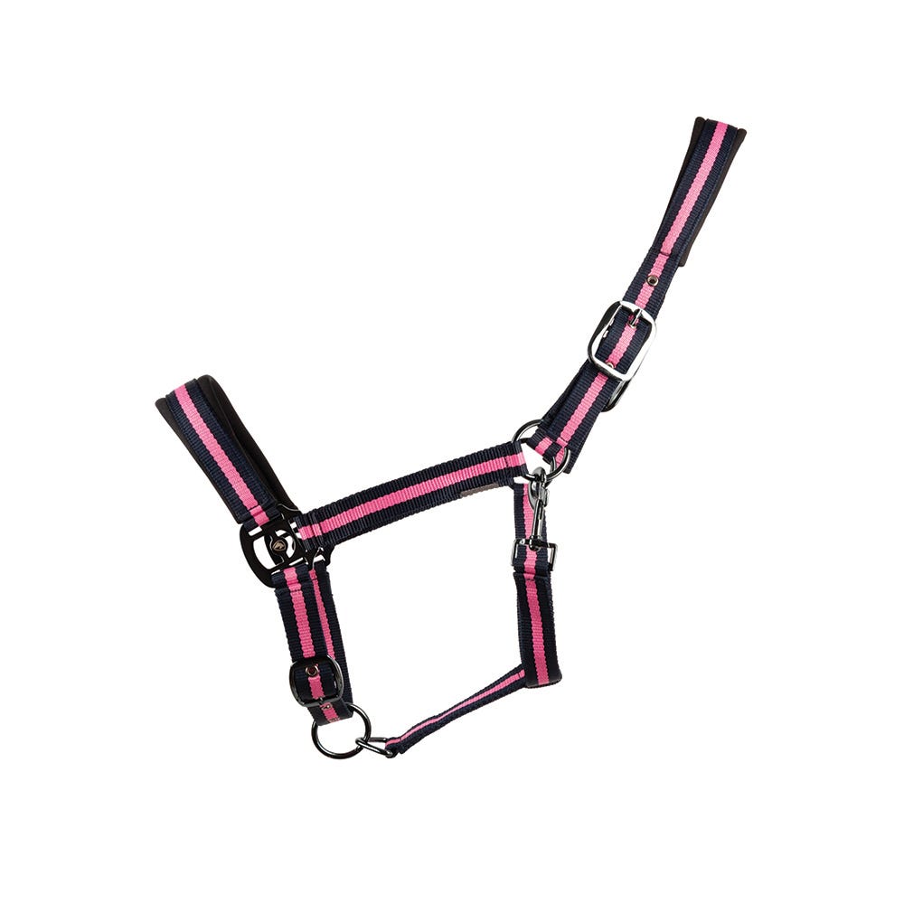 Hy Equestrian Ink Head Collar image 2